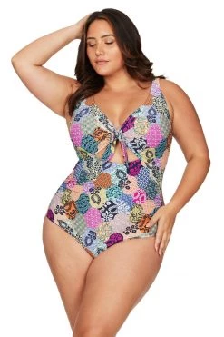 Salmagundi Multi Cezanne Underwire One Piece